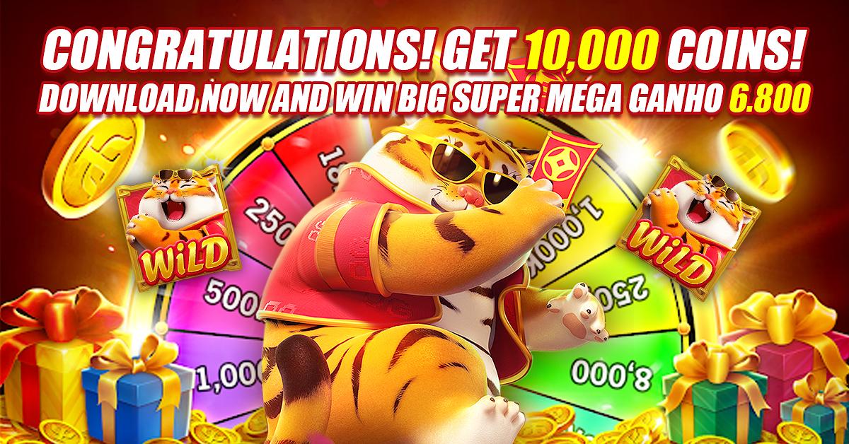 4play 5win cassino entretenimento