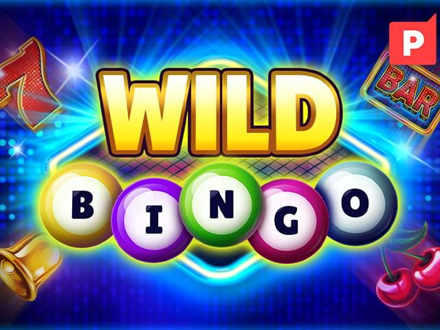 4play Bingo Selvagem